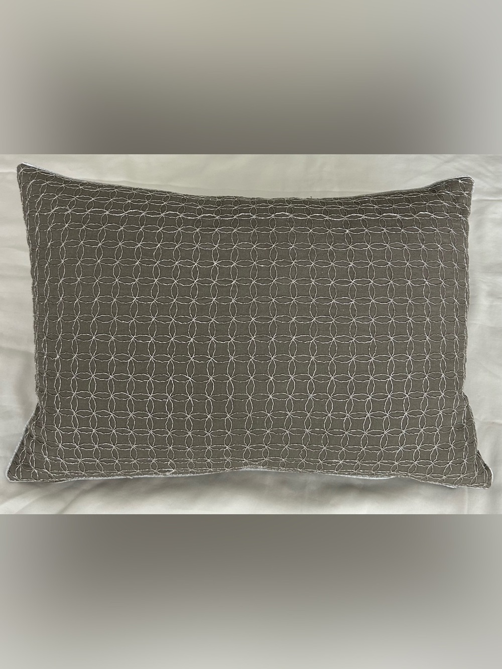 Embroidered Geometric Rectangular Accent Pillow - Taupe